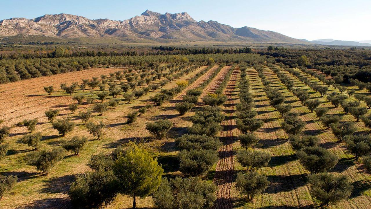 La Blanchere, Vue Golf Vedène Εξωτερικό φωτογραφία